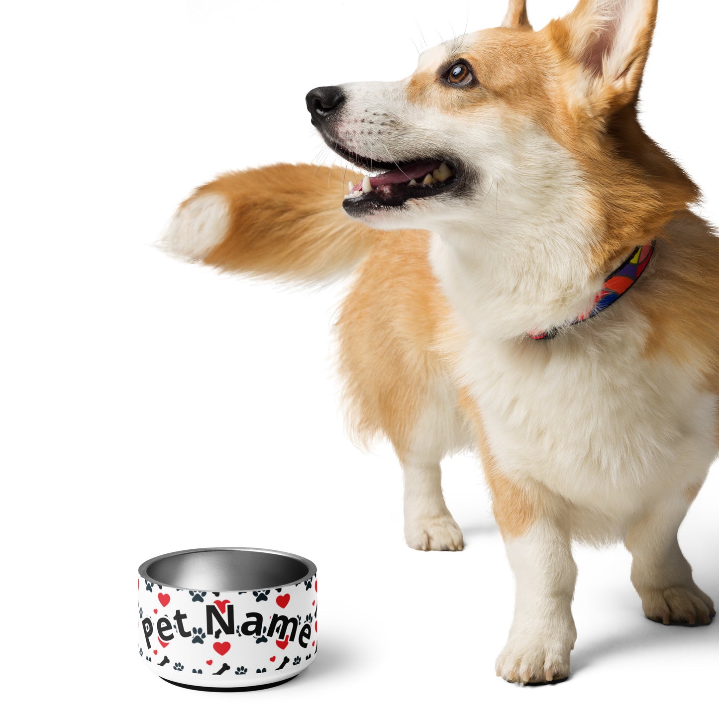 Pet Red and Black Bone bowl