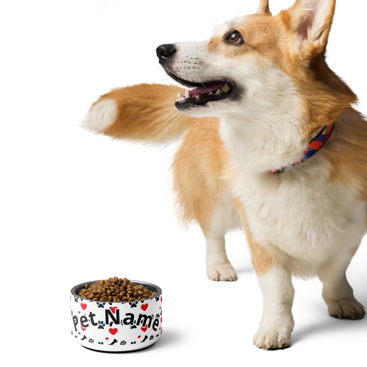 Pet Red and Black Bone bowl